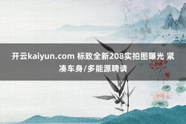 开云kaiyun.com 标致全新208实拍图曝光 紧凑车身/多能源聘请