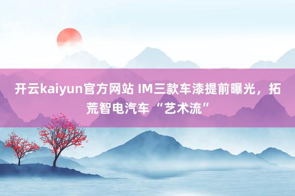 开云kaiyun官方网站 IM三款车漆提前曝光，拓荒智电汽车 “艺术流”