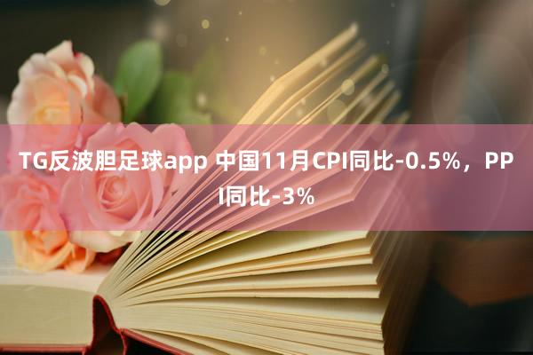 TG反波胆足球app 中国11月CPI同比-0.5%，PPI同比-3%