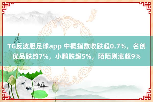 TG反波胆足球app 中概指数收跌超0.7%，名创优品跌约7%，小鹏跌超5%，陌陌则涨超9%