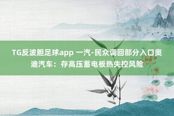 TG反波胆足球app 一汽-民众调回部分入口奥迪汽车：存高压蓄电板热失控风险