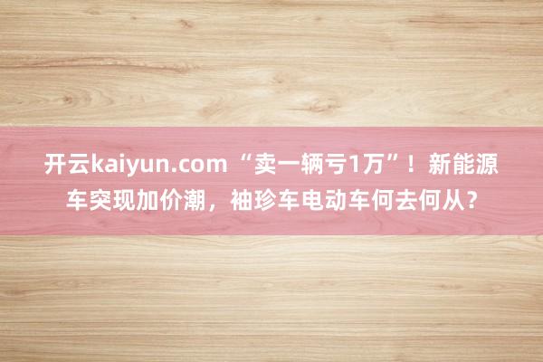 开云kaiyun.com “卖一辆亏1万”！新能源车突现加价潮，袖珍车电动车何去何从？