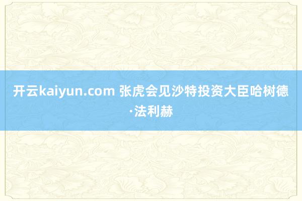 开云kaiyun.com 张虎会见沙特投资大臣哈树德·法利赫