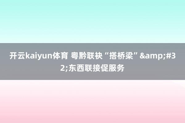 开云kaiyun体育 粤黔联袂“搭桥梁”&#32;东西联接促服务