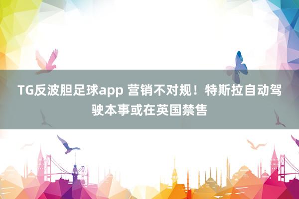 TG反波胆足球app 营销不对规！特斯拉自动驾驶本事或在英国禁售