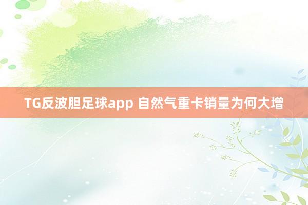 TG反波胆足球app 自然气重卡销量为何大增