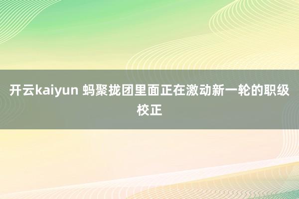 开云kaiyun 蚂聚拢团里面正在激动新一轮的职级校正