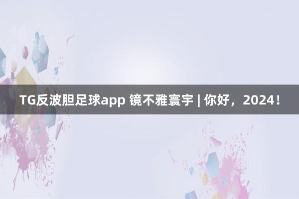 TG反波胆足球app 镜不雅寰宇 | 你好，2024！