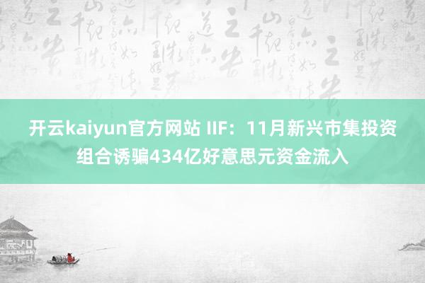 开云kaiyun官方网站 IIF：11月新兴市集投资组合诱骗434亿好意思元资金流入