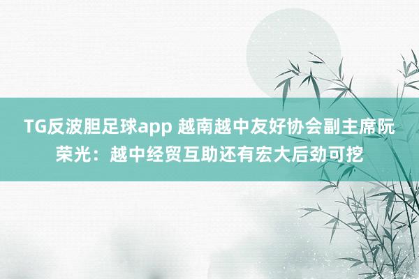 TG反波胆足球app 越南越中友好协会副主席阮荣光：越中经贸互助还有宏大后劲可挖