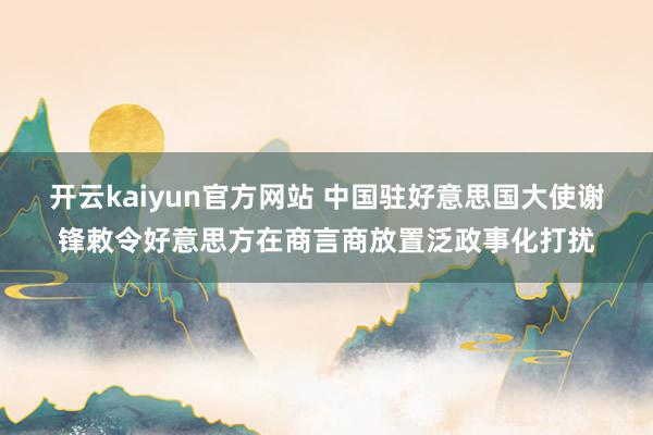 开云kaiyun官方网站 中国驻好意思国大使谢锋敕令好意思方在商言商放置泛政事化打扰