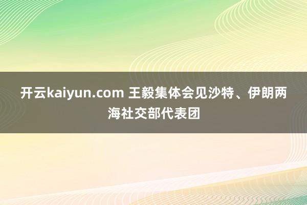 开云kaiyun.com 王毅集体会见沙特、伊朗两海社交部代表团