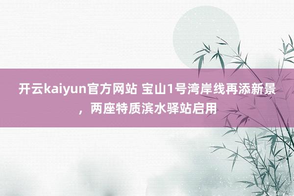 开云kaiyun官方网站 宝山1号湾岸线再添新景，两座特质滨水驿站启用