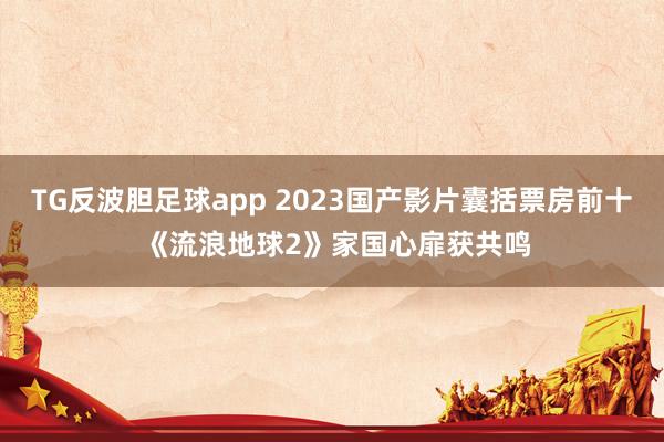 TG反波胆足球app 2023国产影片囊括票房前十 《流浪地球2》家国心扉获共鸣