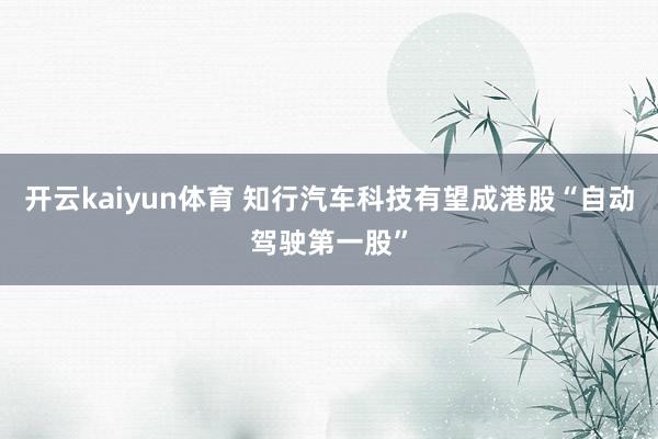 开云kaiyun体育 知行汽车科技有望成港股“自动驾驶第一股”