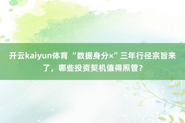 开云kaiyun体育 “数据身分×”三年行径宗旨来了，哪些投资契机值得照管？