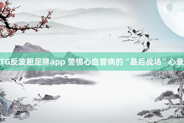 TG反波胆足球app 警惕心血管病的“最后战场”心衰