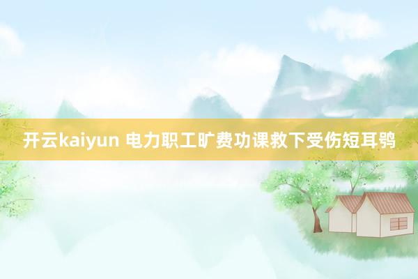 开云kaiyun 电力职工旷费功课救下受伤短耳鸮