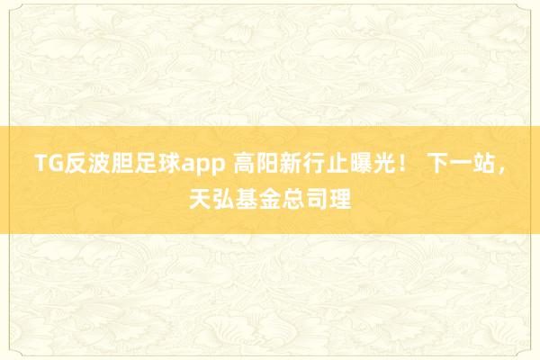 TG反波胆足球app 高阳新行止曝光！ 下一站，天弘基金总司理