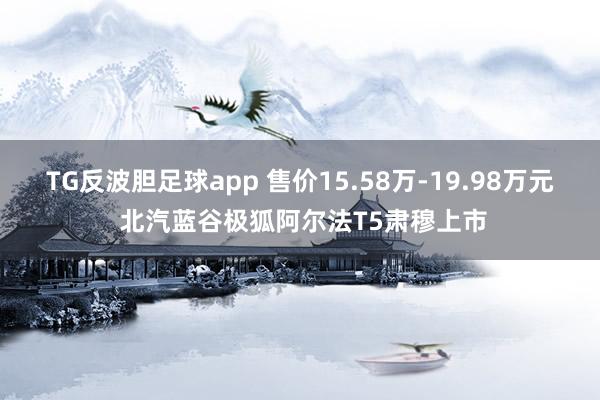 TG反波胆足球app 售价15.58万-19.98万元 北汽蓝谷极狐阿尔法T5肃穆上市