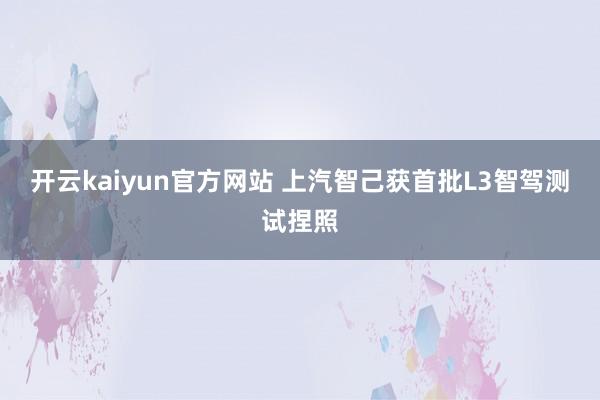 开云kaiyun官方网站 上汽智己获首批L3智驾测试捏照