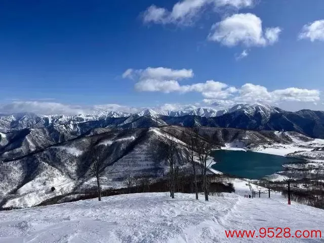 中国旅客在日滑雪跌倒吸入粉雪窒息身一火！“粉雪”到底是什么？