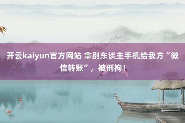 开云kaiyun官方网站 拿别东谈主手机给我方“微信转账”，被刑拘！