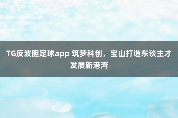 TG反波胆足球app 筑梦科创，宝山打造东谈主才发展新港湾