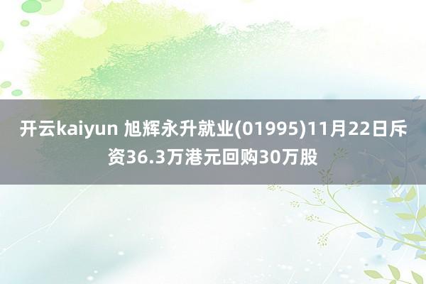 开云kaiyun 旭辉永升就业(01995)11月22日斥资36.3万港元回购30万股