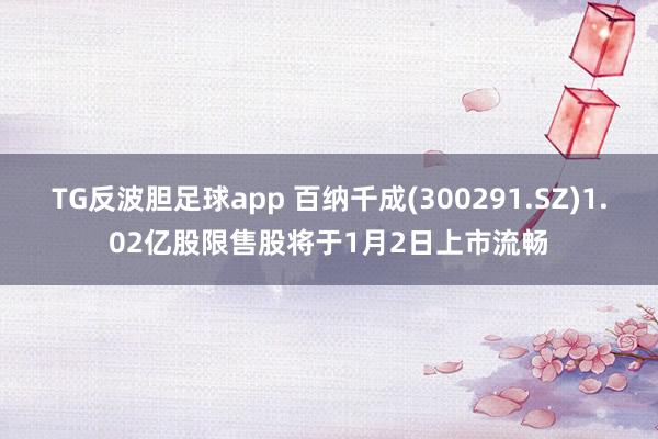 TG反波胆足球app 百纳千成(300291.SZ)1.02亿股限售股将于1月2日上市流畅