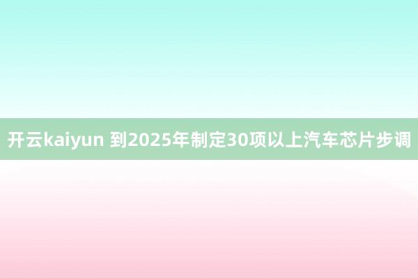 开云kaiyun 到2025年制定30项以上汽车芯片步调