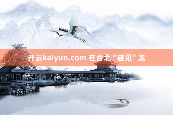 开云kaiyun.com 在台北“碰见”龙