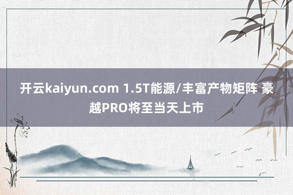 开云kaiyun.com 1.5T能源/丰富产物矩阵 豪越PRO将至当天上市