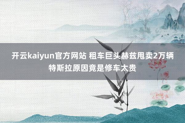 开云kaiyun官方网站 租车巨头赫兹甩卖2万辆特斯拉原因竟是修车太贵