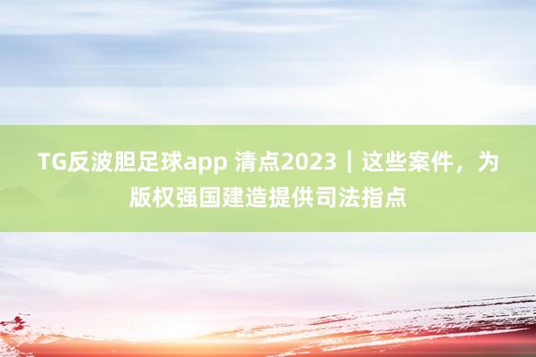 TG反波胆足球app 清点2023｜这些案件，为版权强国建造提供司法指点