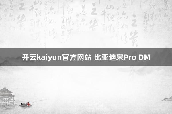 开云kaiyun官方网站 比亚迪宋Pro DM