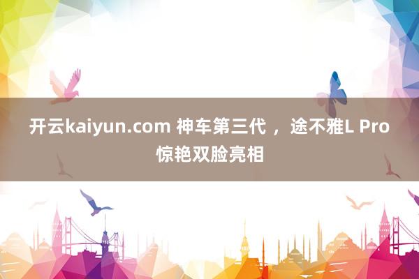 开云kaiyun.com 神车第三代 ，途不雅L Pro惊艳双脸亮相