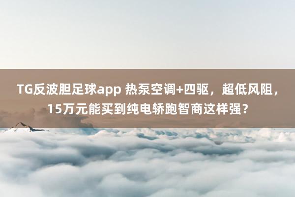 TG反波胆足球app 热泵空调+四驱，超低风阻，15万元能买到纯电轿跑智商这样强？