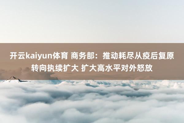 开云kaiyun体育 商务部：推动耗尽从疫后复原转向执续扩大 扩大高水平对外怒放