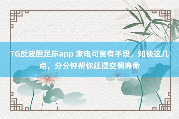 TG反波胆足球app 家电可贵有手段，知谈这几点，分分钟帮你延漫空调寿命