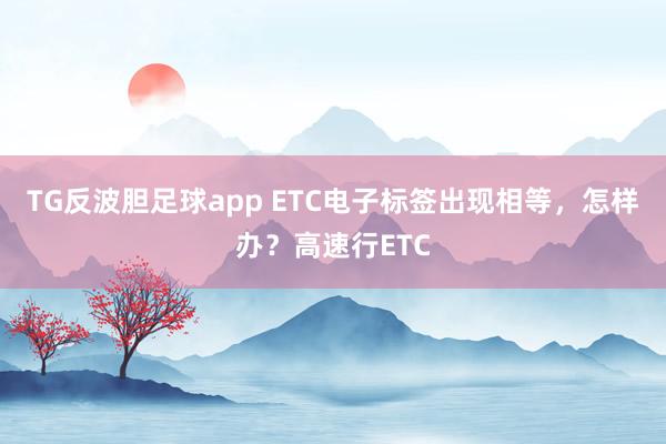 TG反波胆足球app ETC电子标签出现相等，怎样办？高速行ETC