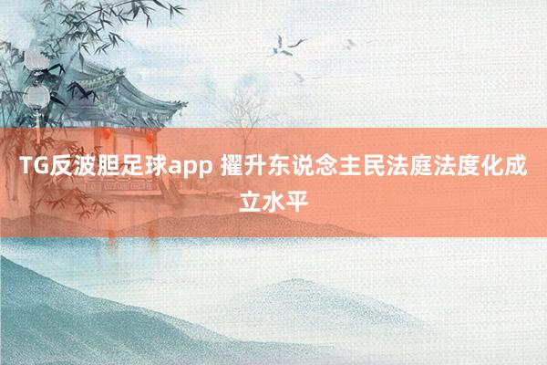 TG反波胆足球app 擢升东说念主民法庭法度化成立水平