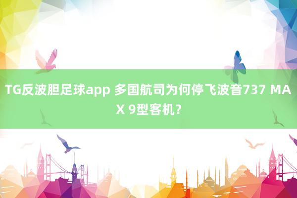 TG反波胆足球app 多国航司为何停飞波音737 MAX 9型客机？