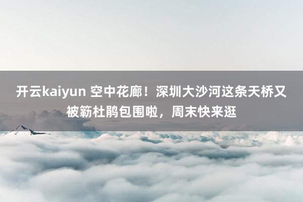 开云kaiyun 空中花廊！深圳大沙河这条天桥又被簕杜鹃包围啦，周末快来逛