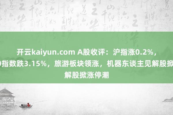 开云kaiyun.com A股收评：沪指涨0.2%，北证50指数跌3.15%，旅游板块领涨，机器东谈主见解股掀涨停潮