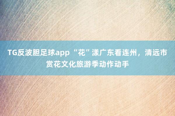 TG反波胆足球app “花”漾广东看连州，清远市赏花文化旅游季动作动手