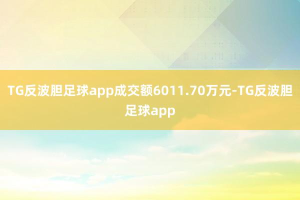 TG反波胆足球app成交额6011.70万元-TG反波胆足球app