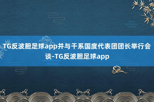 TG反波胆足球app并与干系国度代表团团长举行会谈-TG反波胆足球app