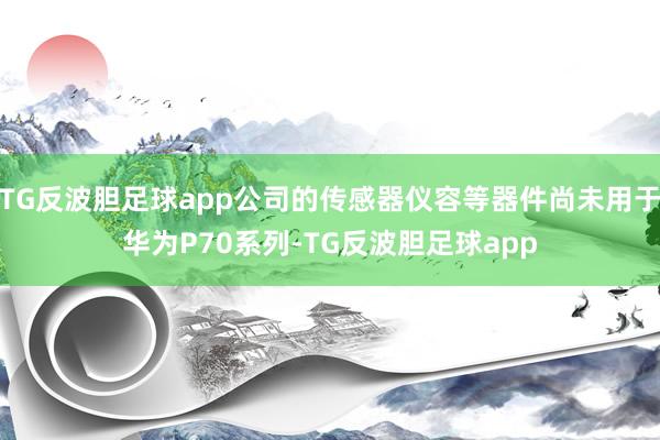 TG反波胆足球app公司的传感器仪容等器件尚未用于华为P70系列-TG反波胆足球app