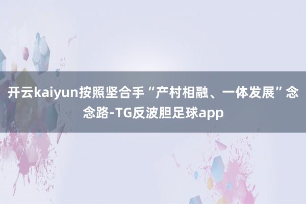 开云kaiyun按照坚合手“产村相融、一体发展”念念路-TG反波胆足球app